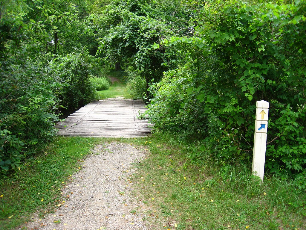 Matthaei Botanical Gardens 2010 0575.jpg - Matthaei Botanical Gardens in Ann Arbor Michigan has several miles of trails that can be enjoyed year round.